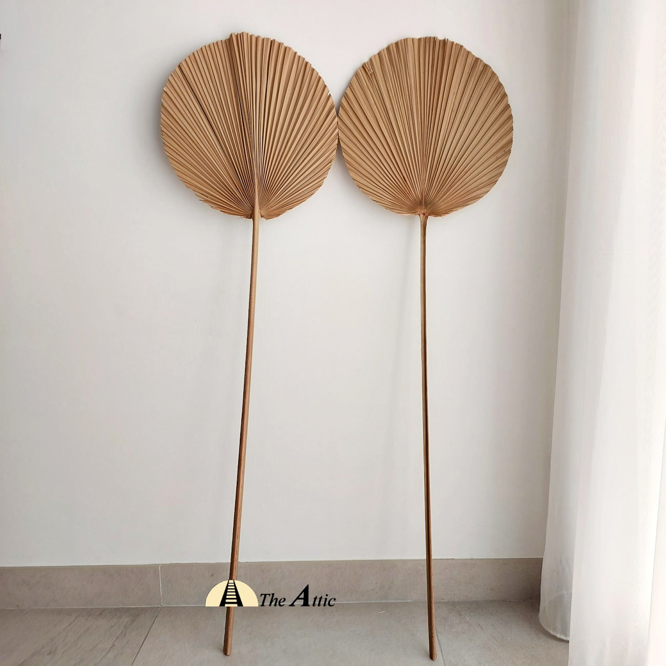 Dried Palm Leaf Décor, Bohemian Boho Tropical Deco, Dried decorative leaves - The Attic Dubai