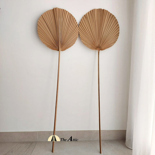 Dried Palm Leaf Décor, Bohemian Boho Tropical Deco, Dried decorative leaves - The Attic Dubai