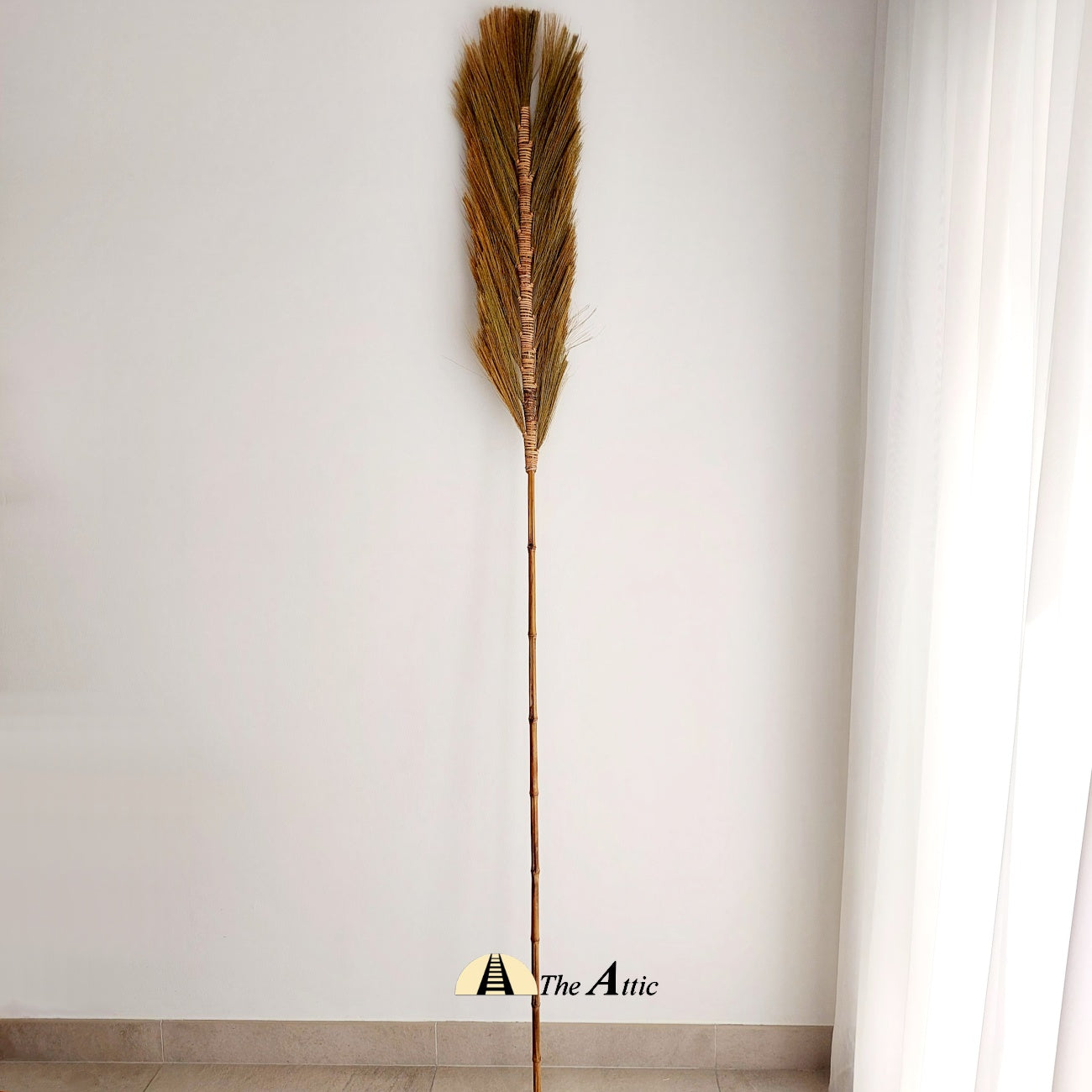 Dried Decorative Grass Plant Stem, 220 cm