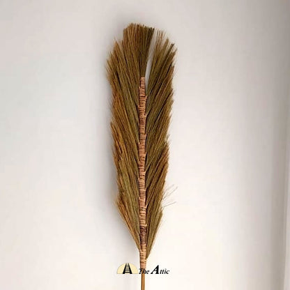 Dried Decorative Grass Plant Stem, 220 cm