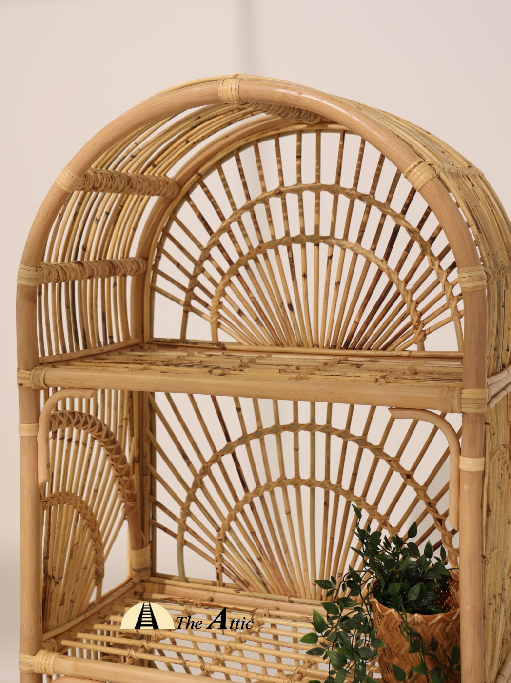 Surya Rattan Arch Bookshelf