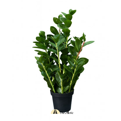 Zanzibar gem, ZZ plant, Zamia, Zamifolia, aroid palm, The Answer Tree, eternity plant, emerald palm - faux plant  - artificial plant - theatticdubai.com