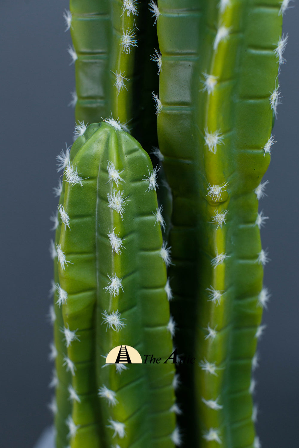 Cereus Cactus Faux Plant - theatticdubai.com