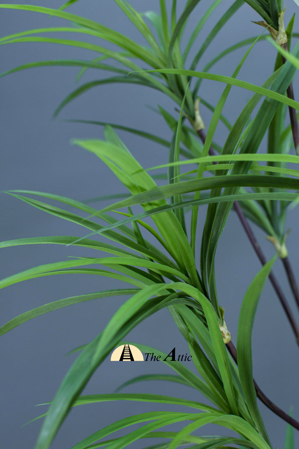 Dracaena Artificial Plant - theatticdubai.com 