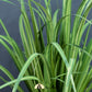 Phormium High Grass Faux Plant, Artificial Plant - theatticdubai.com