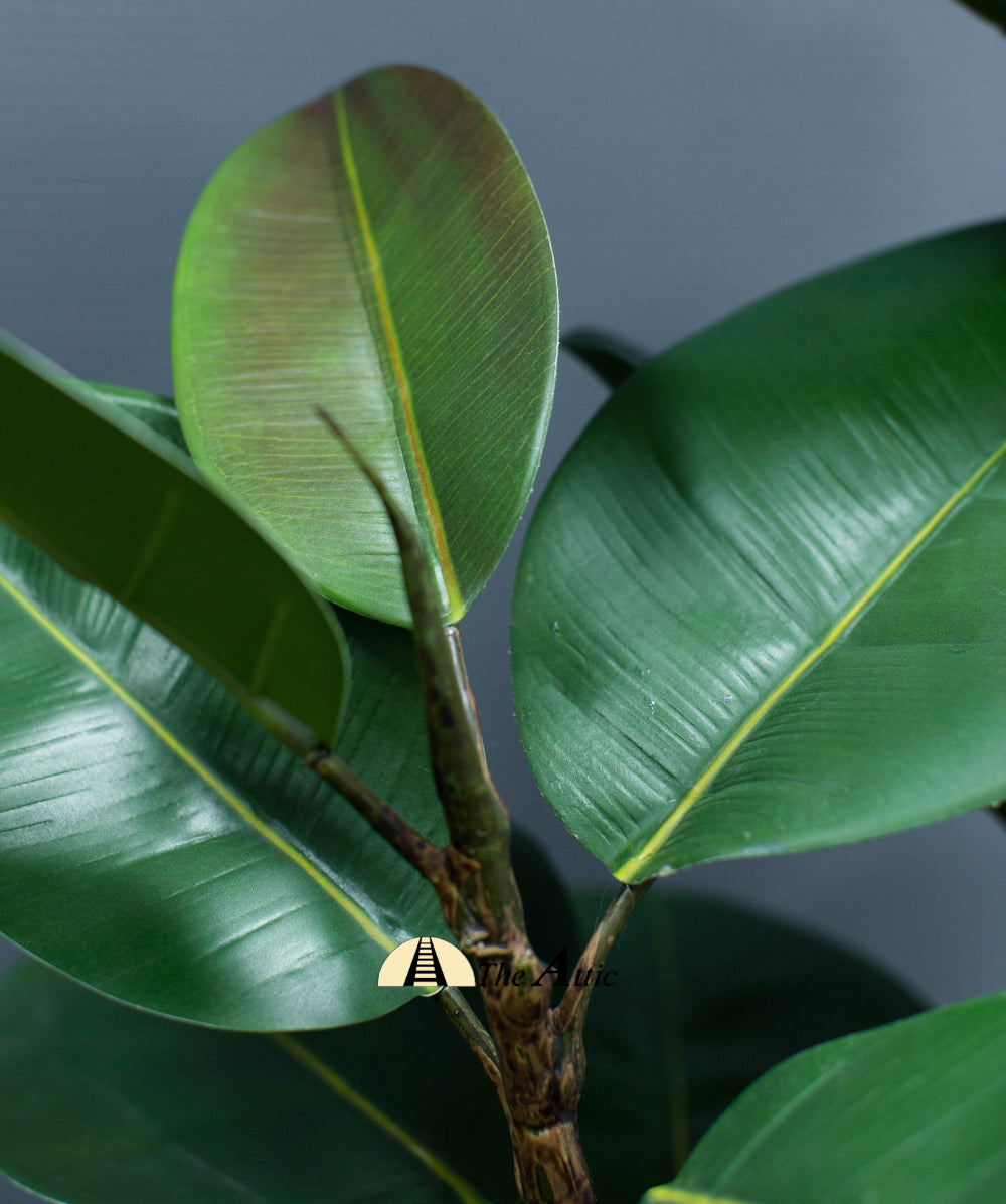 Rubber Plant (Ficus Elastica Melany) Faux Plant 125cm - theatticdubai.com