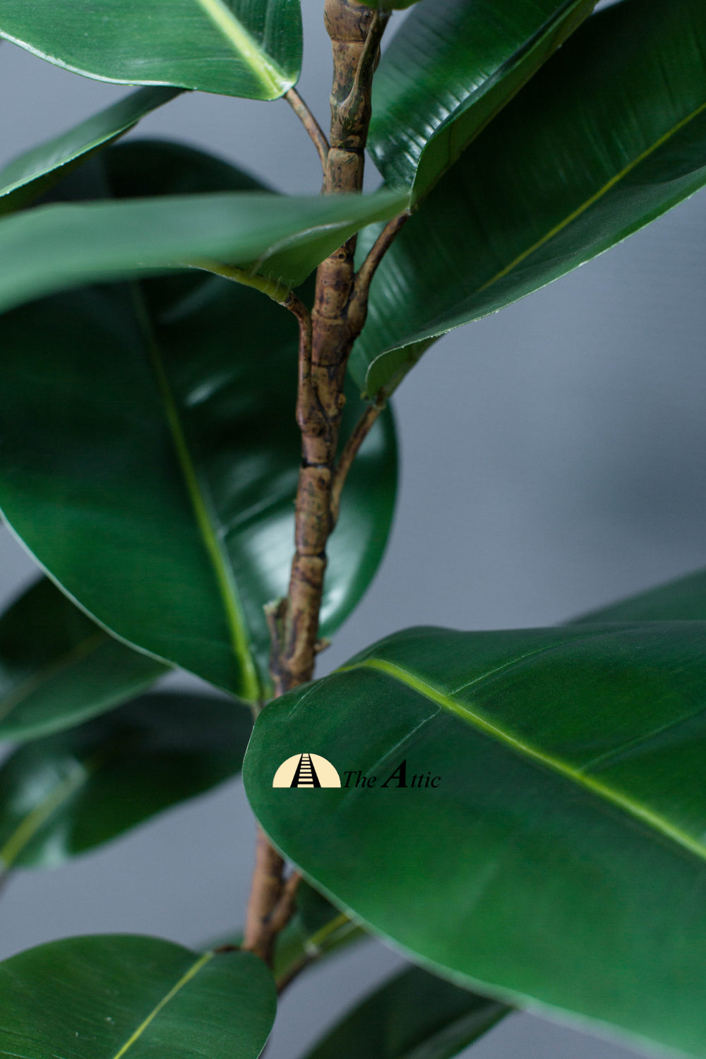Rubber Plant (Ficus Elastica Melany) Faux Plant 125cm - theatticdubai.com