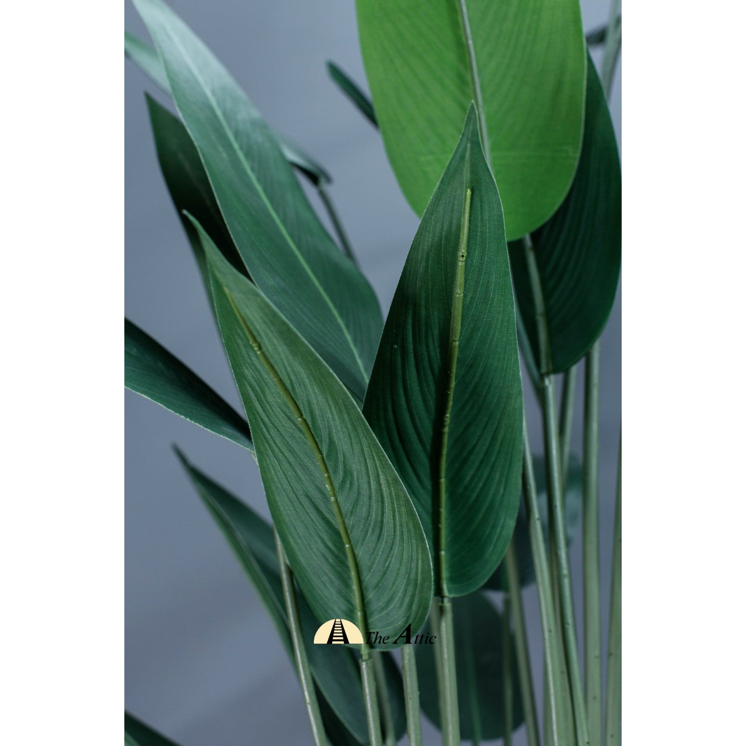 Strelitzia Palm Faux Plant 2.1m - theatticdubai.com