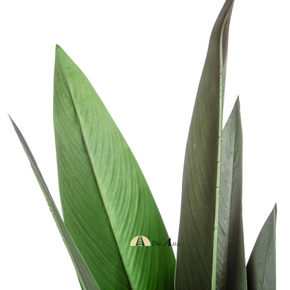 Strelitzia Palm Faux Plant 1.8m - theattic-dubai.com